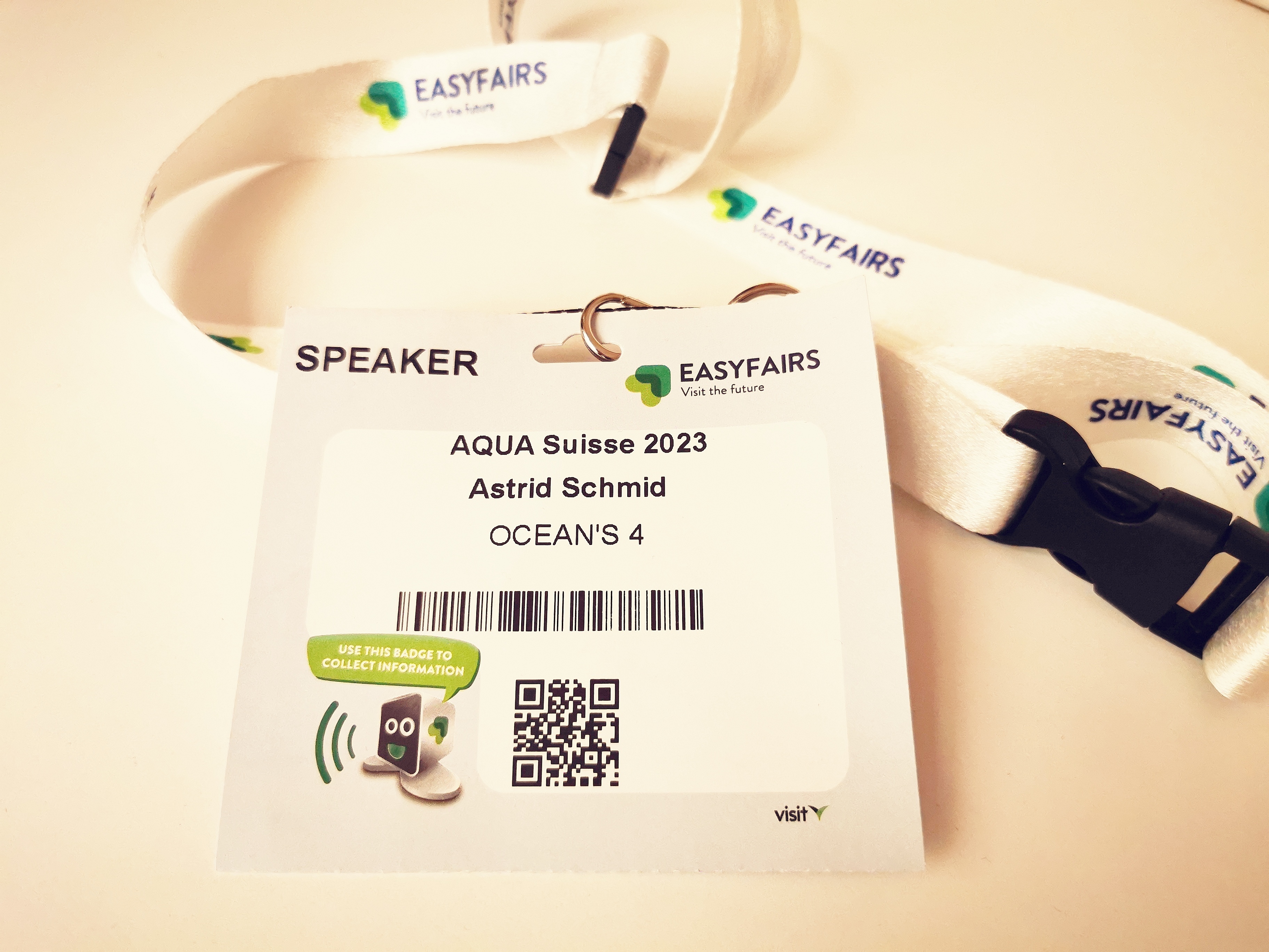 VOM MEER ZURÜCK ANS LAND